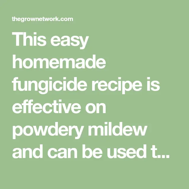 An Easy DIY Homemade Fungicide for Plants