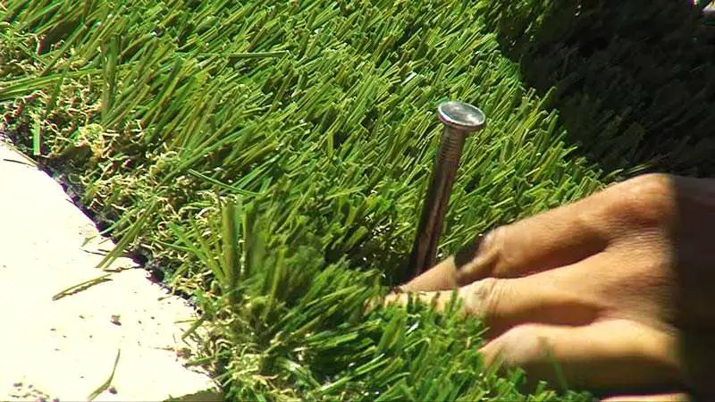 Artificial Grass Between Pavers