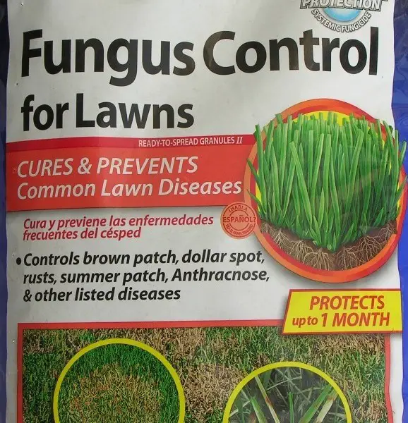 Bayer Advanced Fungus Control for Lawns