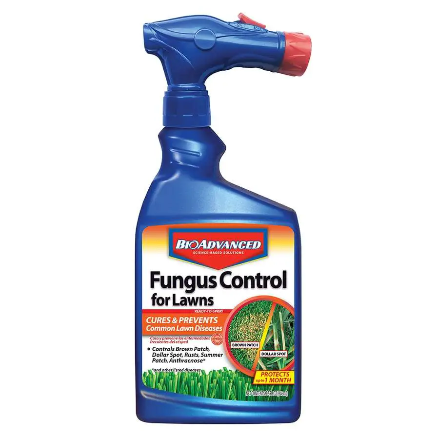 BAYER ADVANCED Fungus Control for Lawns 32