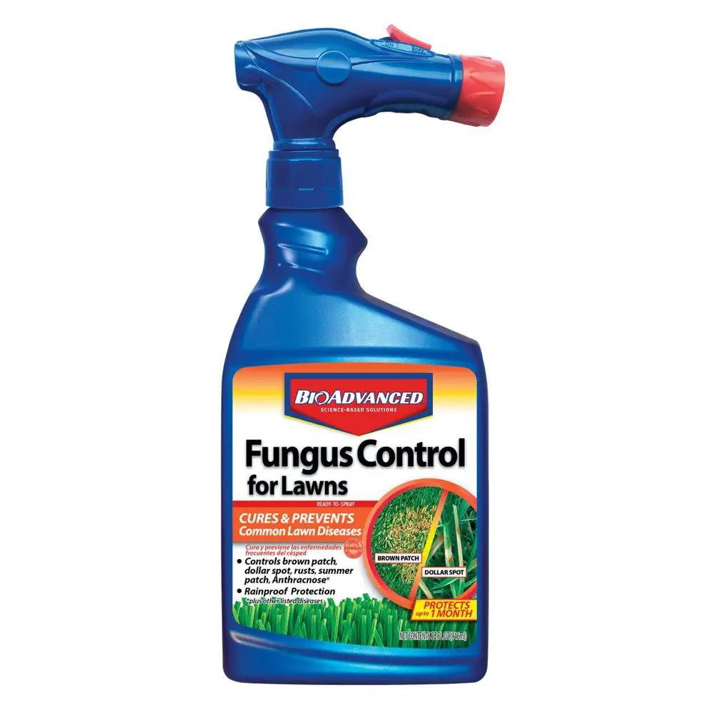 Best fungus control for lawns
