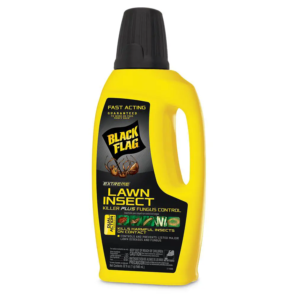 Black Flag Extreme 32 oz. Concentrate Lawn insect Killer Plus Fungus ...