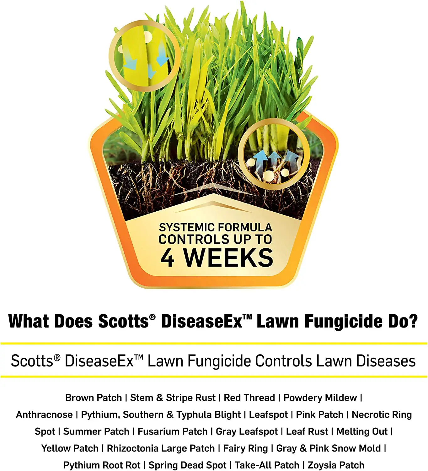 Buy Scotts DiseaseEx Lawn Fungicide