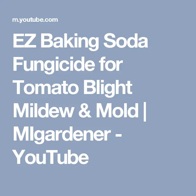 EZ Baking Soda Fungicide for Tomato Blight Mildew &  Mold