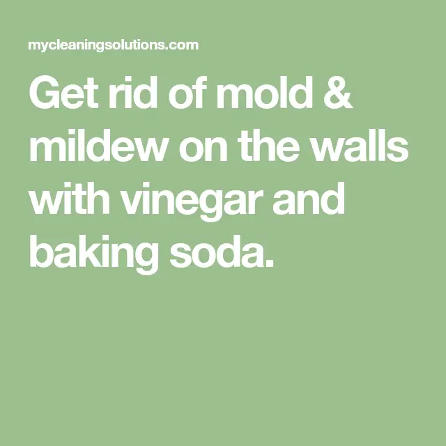 Get rid of mold &  mildew on the walls with vinegar and baking soda ...