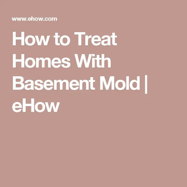 How To Get Rid Of Blue Mold On Walls
