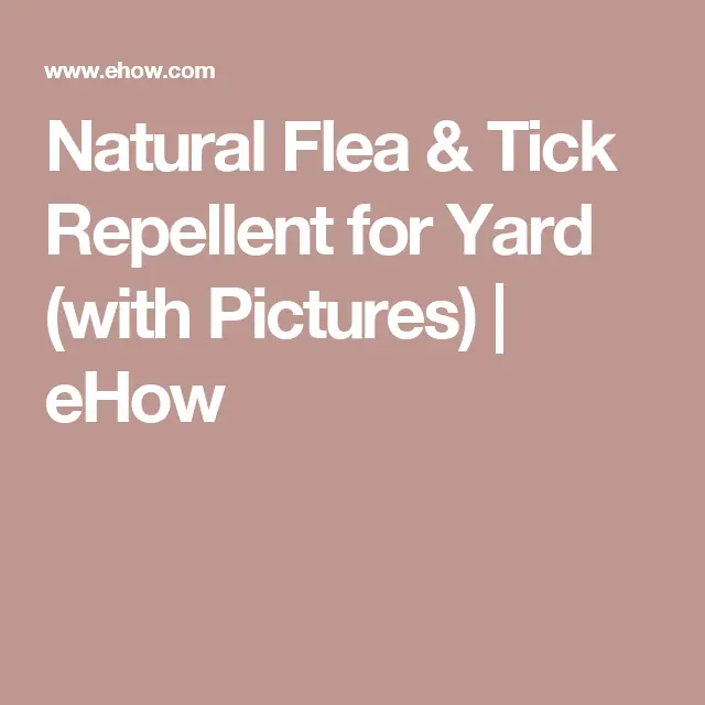 Natural Flea &  Tick Repellent for Yard