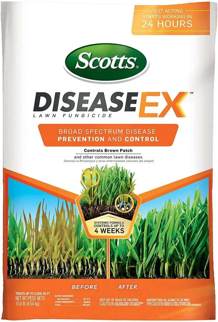 Scotts DiseaseEx Lawn Fungicide Lawn Fungus Control Treatment, Lawn ...