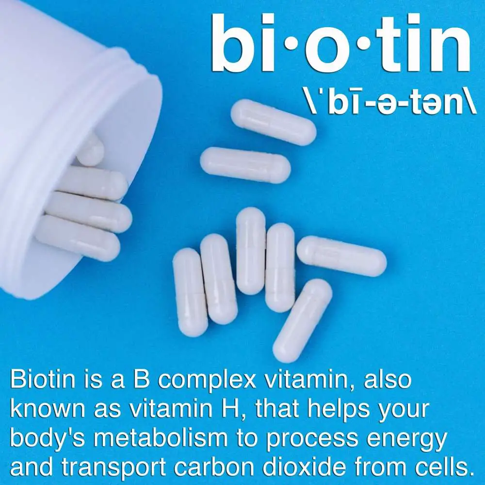 Should i take biotin in the morning or at night, MISHKANET.COM
