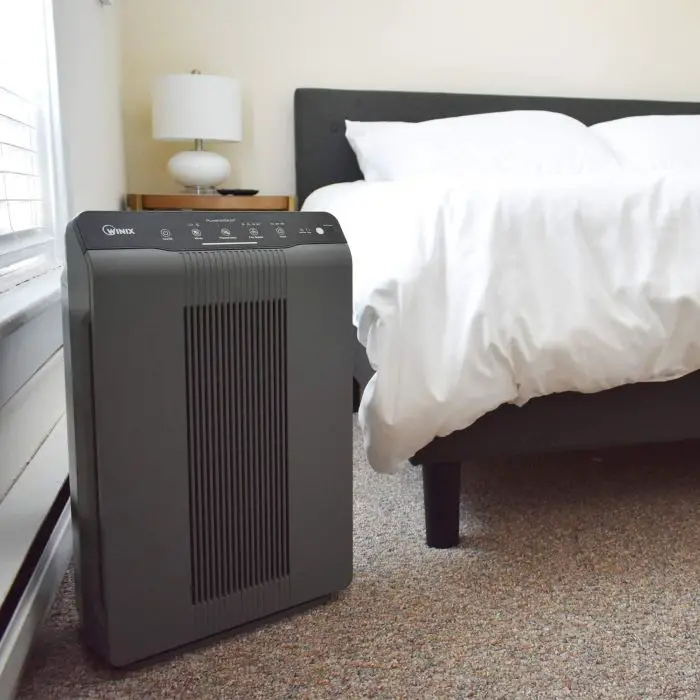 The Best Air Purifier for Mold Fungus &  Viruses