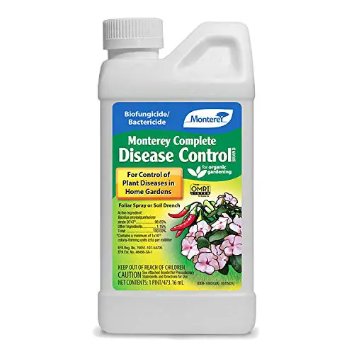 Top 10 Best Fungus Control For Lawns  Review And Buying Guide ...