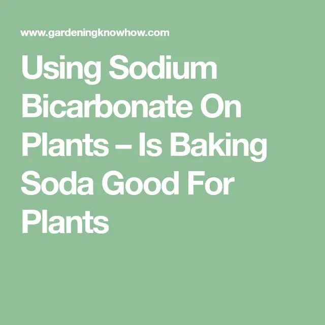 Using Sodium Bicarbonate On Plants â Is Baking Soda Good For Plants ...