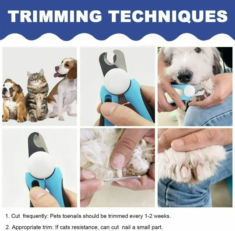 ð? Pet Nail Clipper &  Trimmer Premium Quality Pet Nail Paws Clippers ...